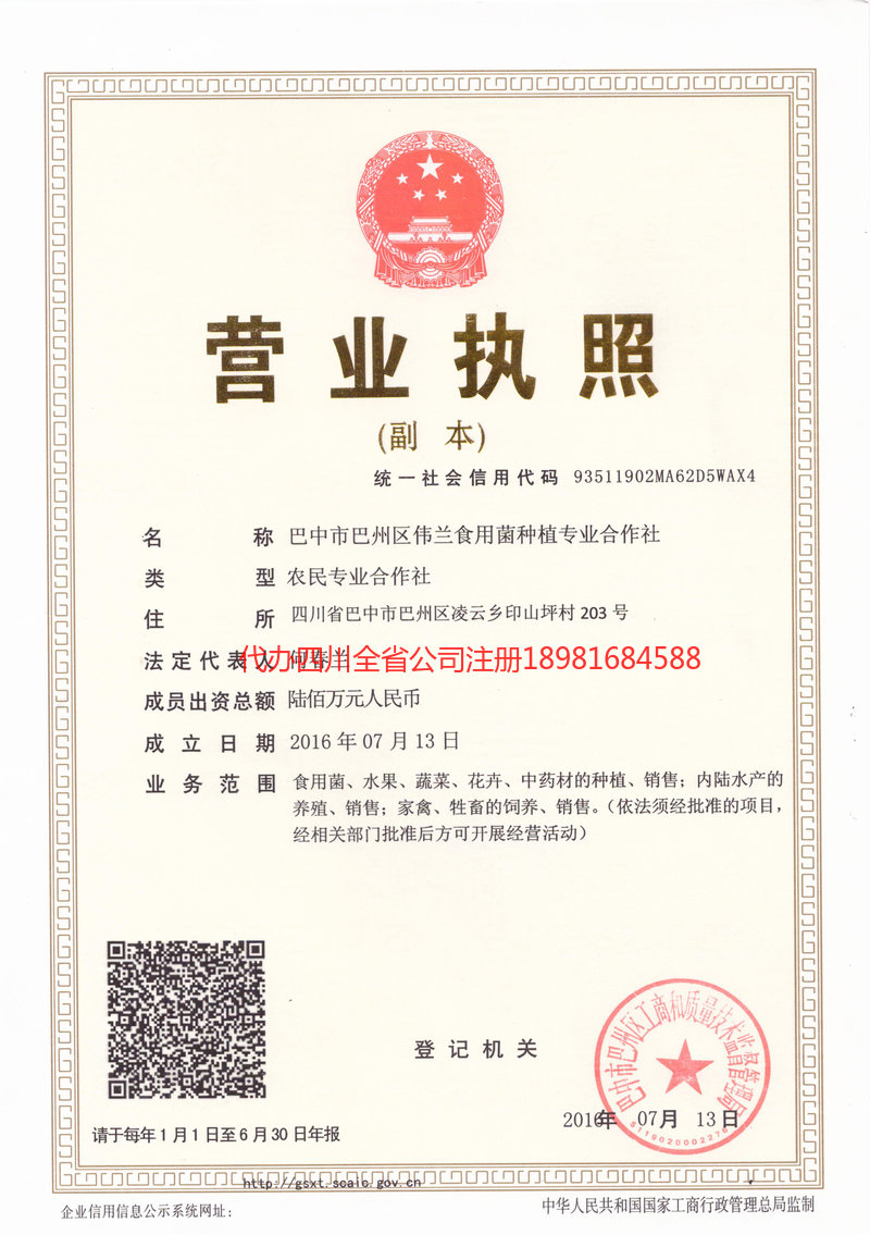 西双版纳傣族自治州西双版纳傣族自治州伟兰食用菌种植专业合作社